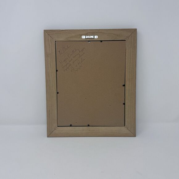 Vintage Handmade Cross Stitch Raining Cats and Dogs Framed 1995 12.5”x11” Green - Picture 2 of 6